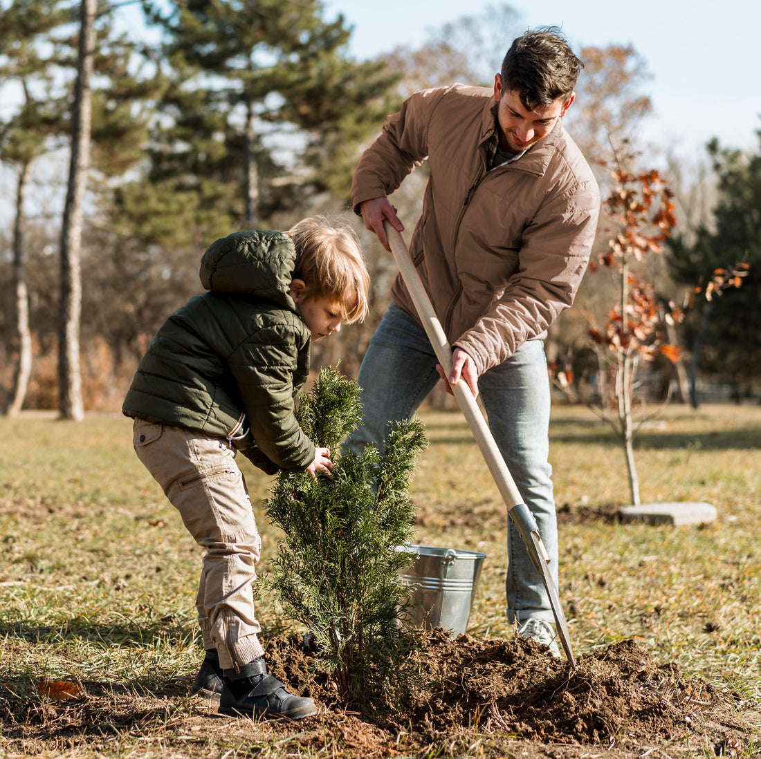 fleurs eternelles vs arbre cadeau symbolique durable