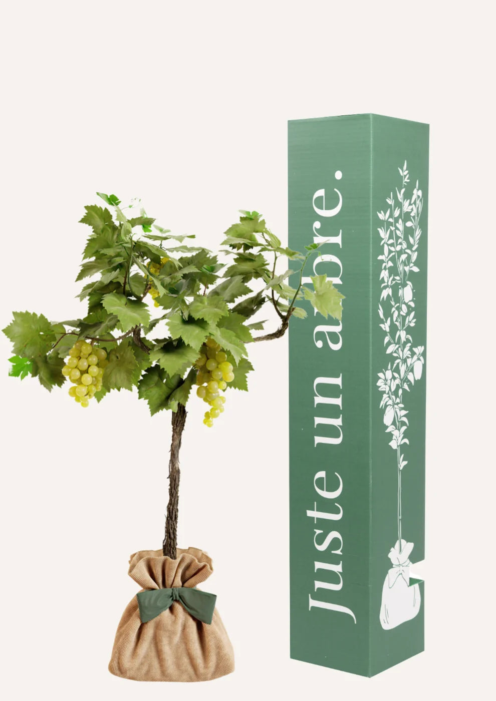 Ficha de mantenimiento de la vid "Chasselas Doré"